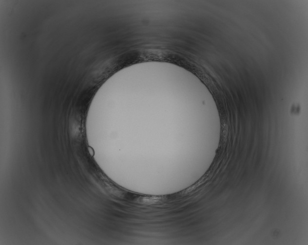 X0000089940134200707131502