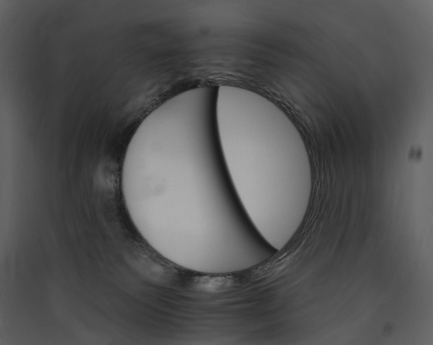 X0000089940135200707131502