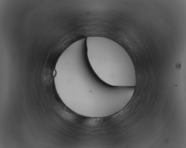 X0000089940136200707131502