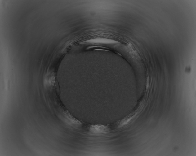 X0000089940137200707131502