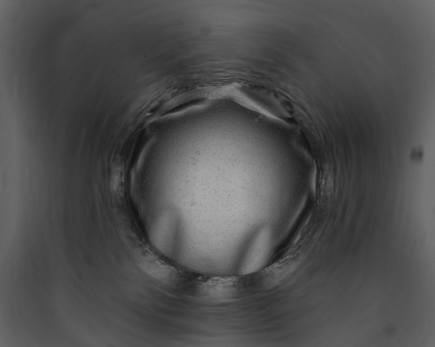 X0000089940138200707131502