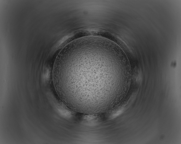 X0000089940139200707131502