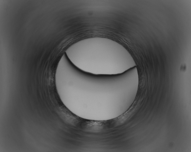 X0000089940140200707131502