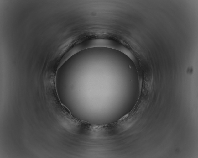 X0000089940141200707131502