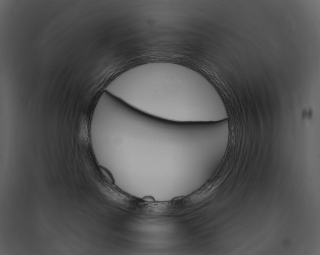 X0000089940143200707131502