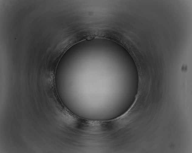 X0000089940144200707131502