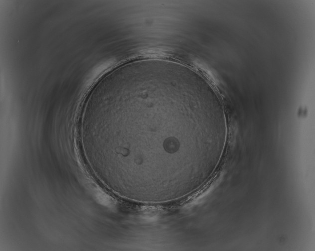 X0000089940145200707131501