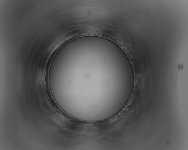 X0000089940146200707131501