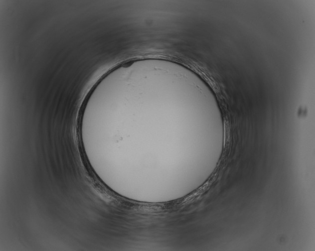 X0000089940147200707131501