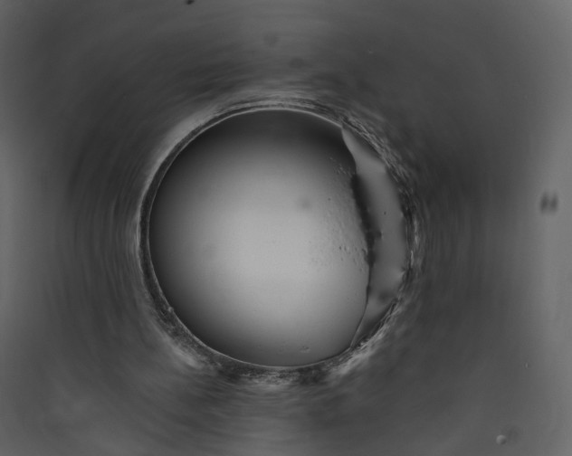 X0000089940148200707131501