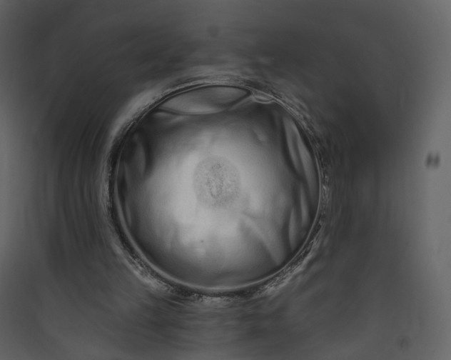 X0000089940149200707131501