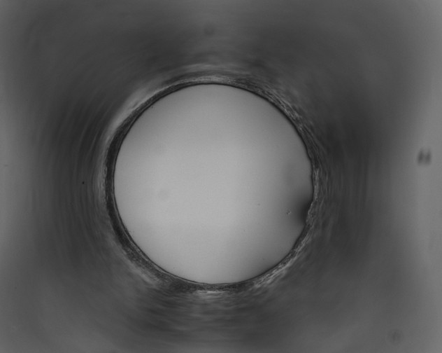 X0000089940150200707131501