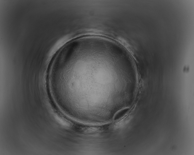 X0000089940151200707131501