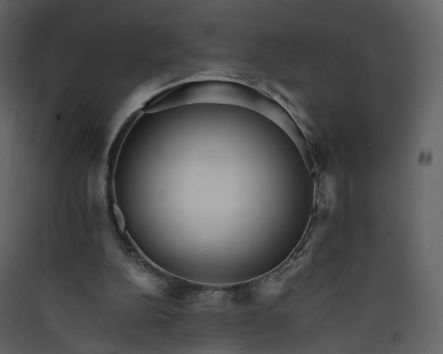 X0000089940152200707131501