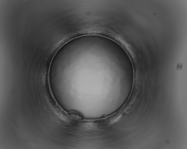 X0000089940153200707131501