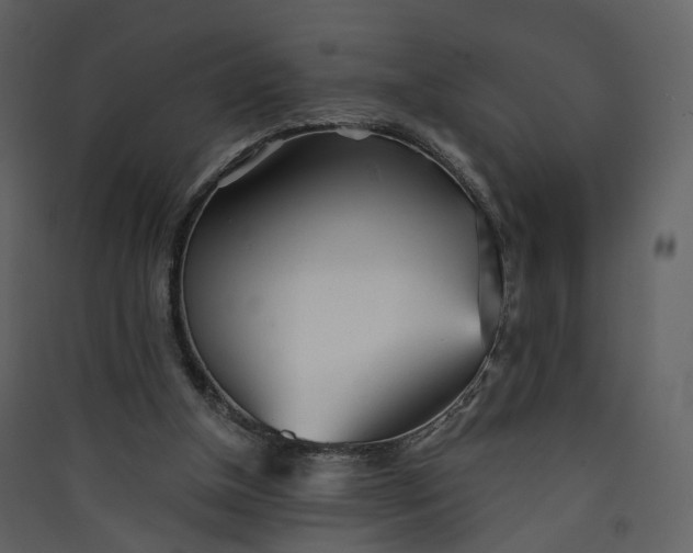 X0000089940154200707131501