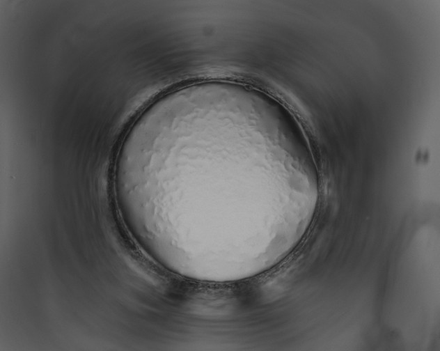 X0000089940155200707131501