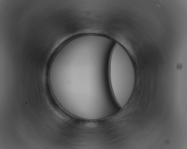 X0000089940156200707131501