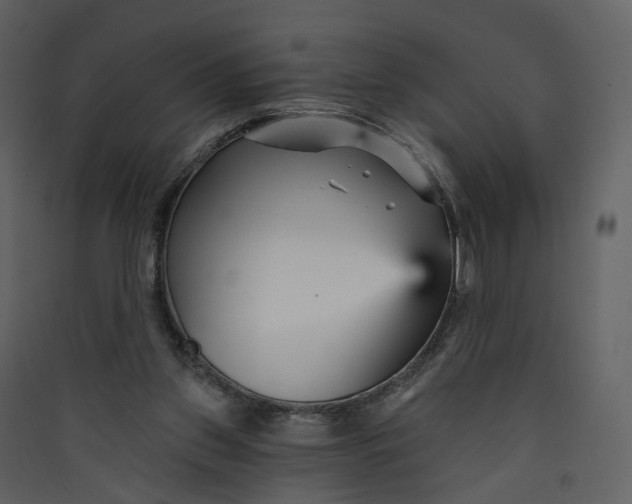 X0000089940157200707131501