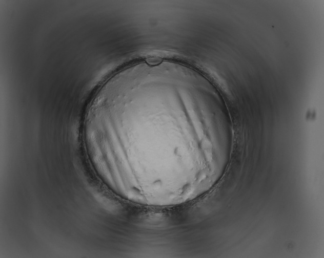 X0000089940159200707131501