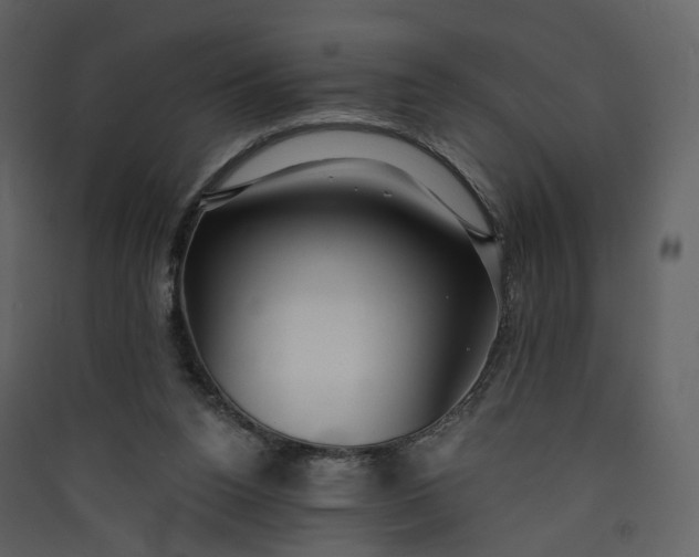 X0000089940160200707131501