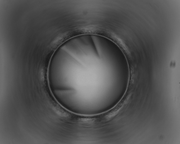 X0000089940161200707131501