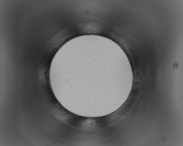 X0000089940162200707131501