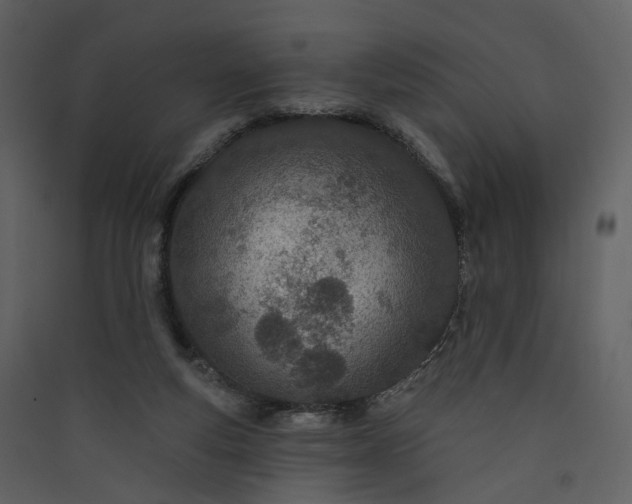 X0000089940163200707131501