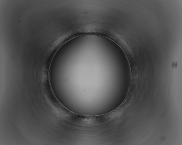 X0000089940164200707131501