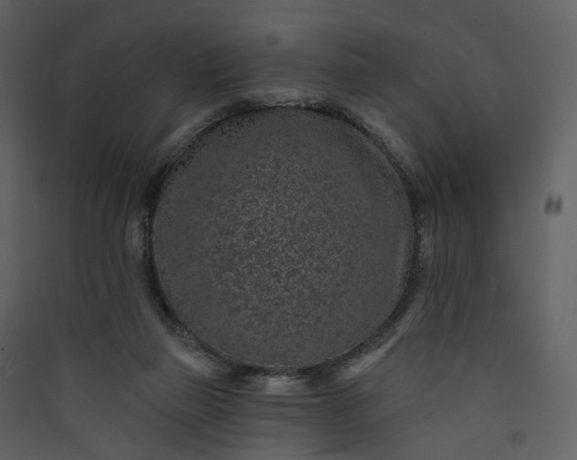 X0000089940165200707131502