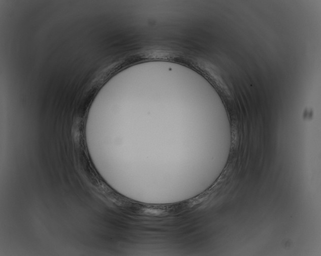 X0000089940167200707131502