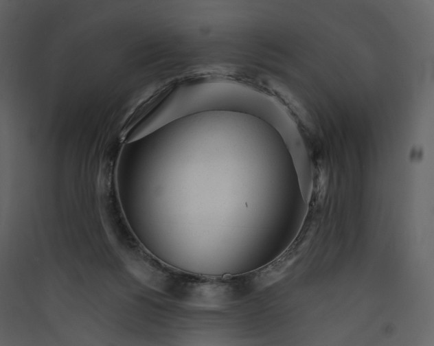 X0000089940168200707131502