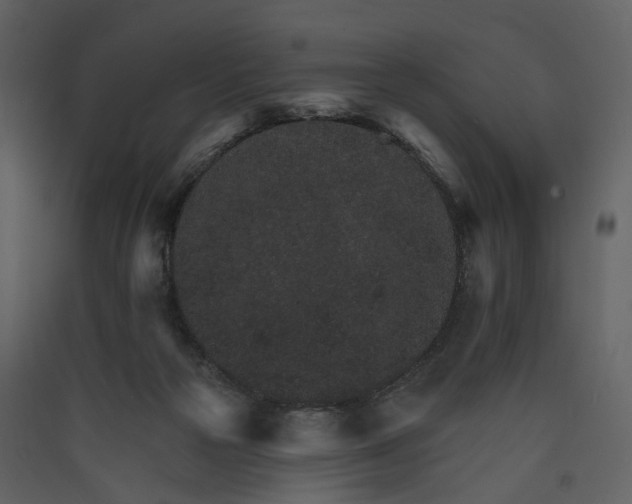 X0000089940169200707131502