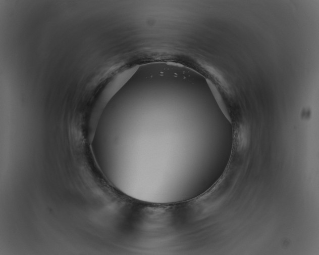 X0000089940170200707131502