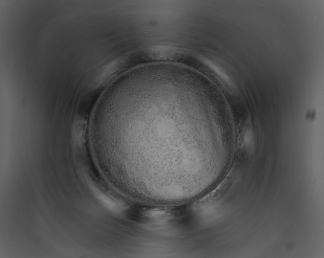 X0000089940171200707131502