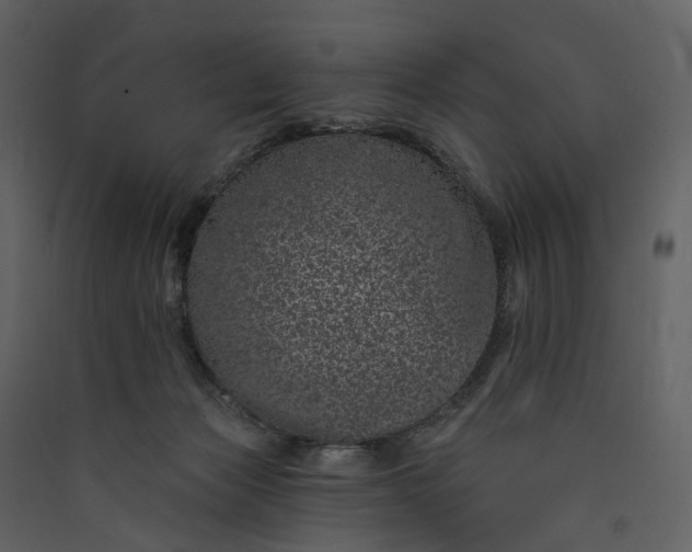 X0000089940173200707131502