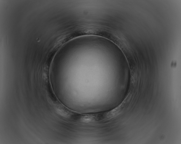 X0000089940175200707131502