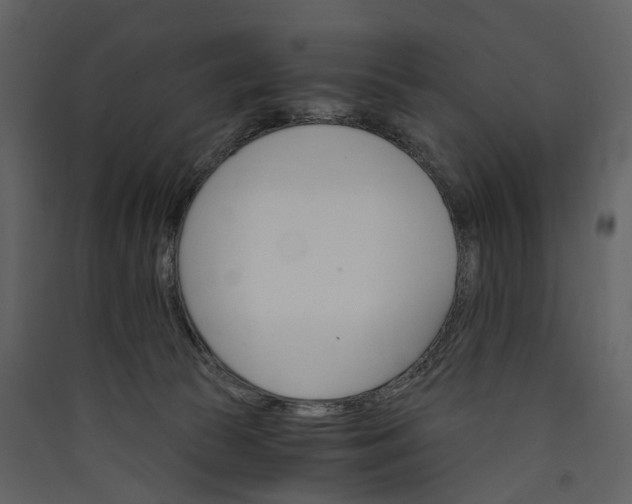 X0000089940177200707131502