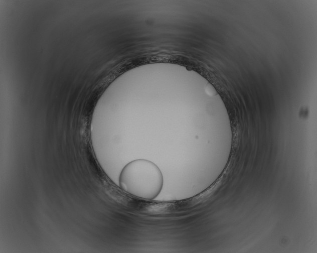 X0000089940178200707131502