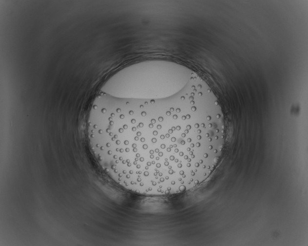 X0000089940179200707131502