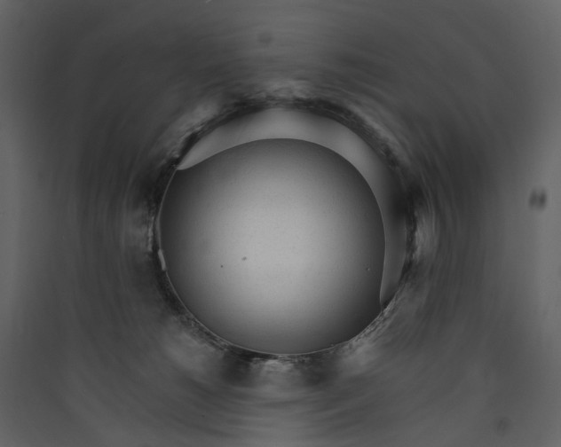 X0000089940180200707131502