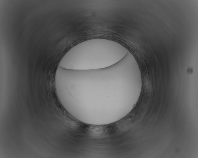 X0000089940181200707131502