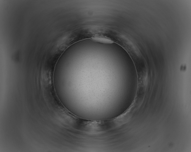 X0000089940182200707131502