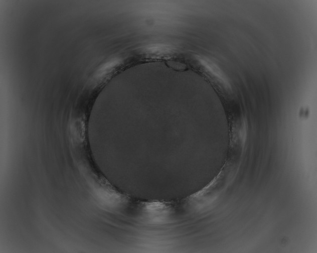 X0000089940183200707131502