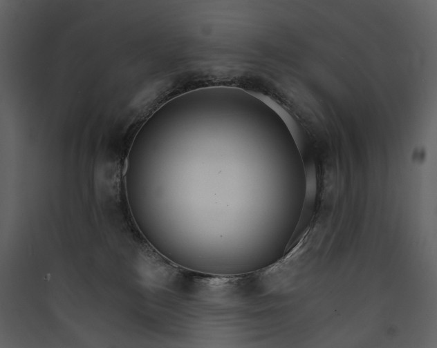 X0000089940184200707131502