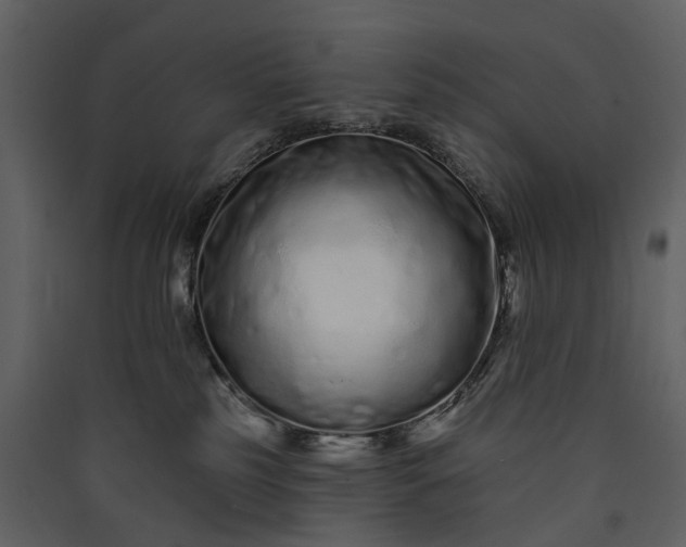 X0000089940185200707131502