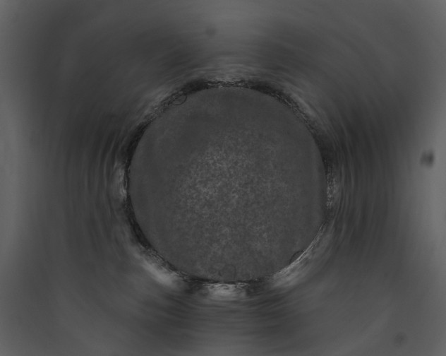 X0000089940187200707131502