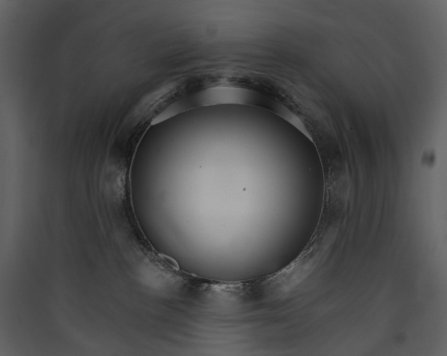 X0000089940188200707131502