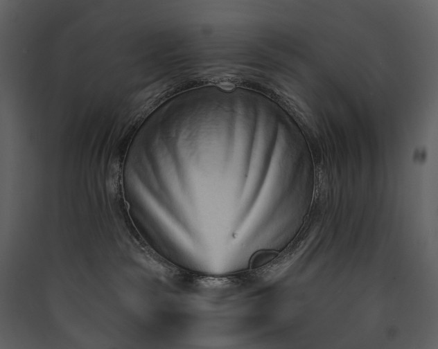 X0000089940189200707131502