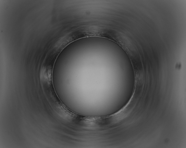 X0000089940190200707131502